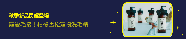 Promotion Banner